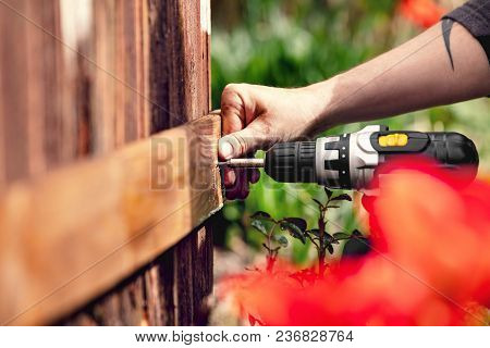 Man Fixes A Board To A Wooden Wall With An Electric Cordless Screwdriver And A Torx Screw.