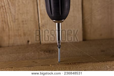 Screw Screwed With Drill Into Wooden Board. Close-up