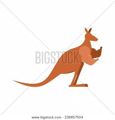 Kangaroo Strong. Australia Bheavyweight. Australian Wallaby. Vector Illustration