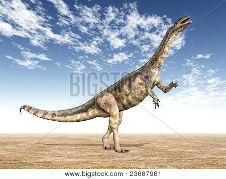 Plateosaurus ไดโนเสาร์