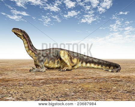 Plateosaurus ไดโนเสาร์