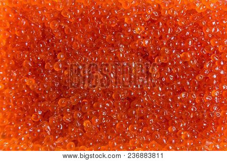 Red Caviar Salmon In A Jar On A White Background