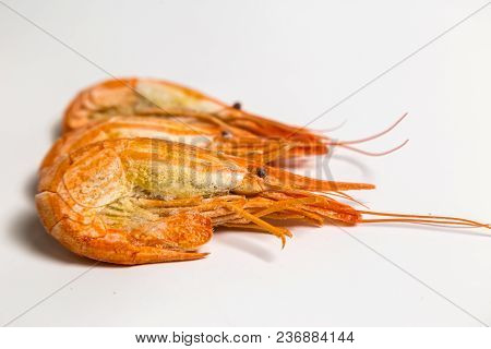 Shrimp Langoustine Lie On A White Background