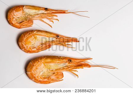 Shrimp Langoustine Lie On A White Background