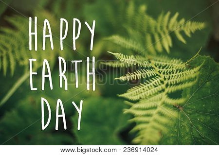 Happy Earth Day Text, Concept. Beautiful Fern Leaf And Moss  In Woods. Fern Leaves In Sunny Forest.