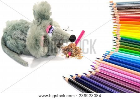 The Toy Mouse Bit A Pencil. A Set Of Colored Pencils Will Take Revenge On Her. Isolated On White Bac