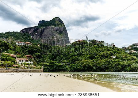 Seagulls Flying Underneath Bridge In The Point Where The Sea Meets The Marapendi Lagoon, In Barra Da
