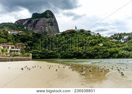 Seagulls Flying Underneath Bridge In The Point Where The Sea Meets The Marapendi Lagoon, In Barra Da