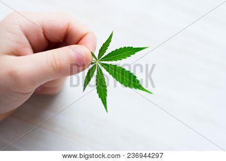 Smiling Kid Child Holding A Hemp Leaf. Concepts Of Using Marihuna For Medicinal Purposes For Childre