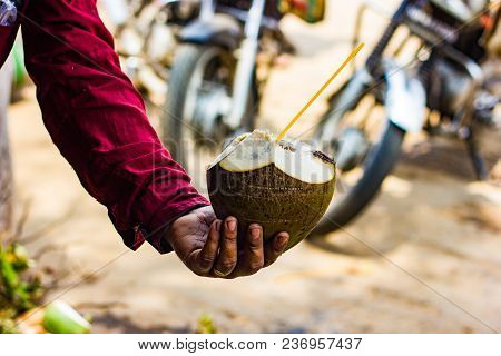 Straw In Coconut Water Offered By Seller. Cool Natural Tropical Drink