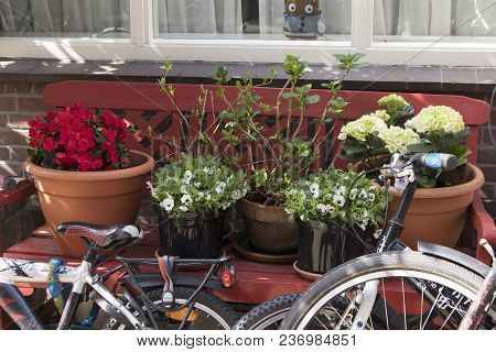 Amsterdam, Holland - 14 April 2018 Flower Pots With Violets, Begonia And Hydrangea As A Decoration O