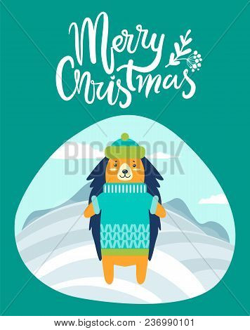 Merry Christmas Greeting Card With Hedgehog In Warm Hat And Knitted Winter Sweater With Pattern Isol