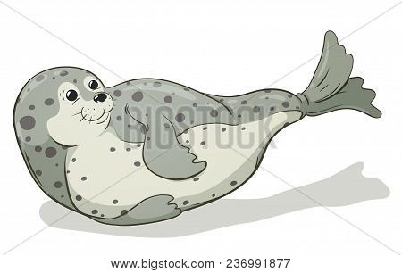 Cartoon Spotted Seal Vector Image, Hand-drawn Illustration
