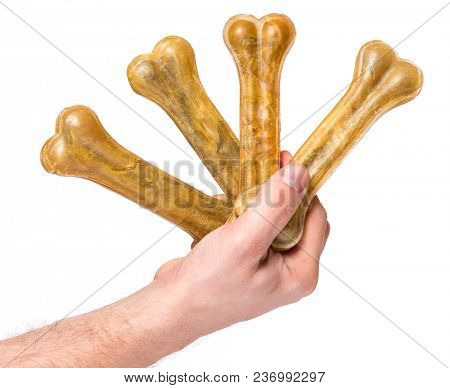 Male hand holding Dog chew bone food - pet accessories for eat, isolated on white background with copy space