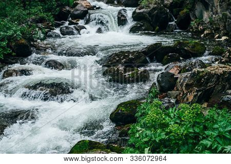 Atmospheric Green Forest Landscape With Mountain Creek. Beautiful Mystery Taiga With Wild River. Viv