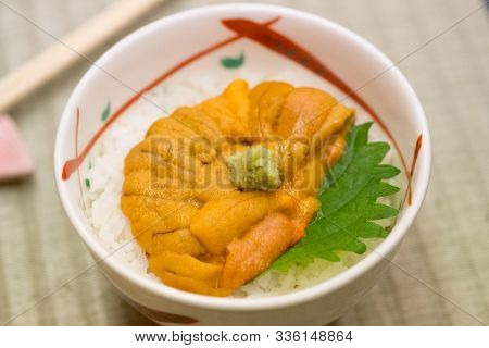 Japanese Rice Bowl Topped With Fresh And Creamy Uni (sea Urchin) With Wasabi At A Restaurant In Hokk