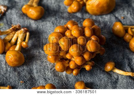 Raw Organic Japanese Nameko Mushrooms