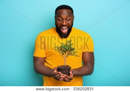 Happy Surprised Boy Hold A Small Tree Ready To Be Planted. Concept Of Forestation