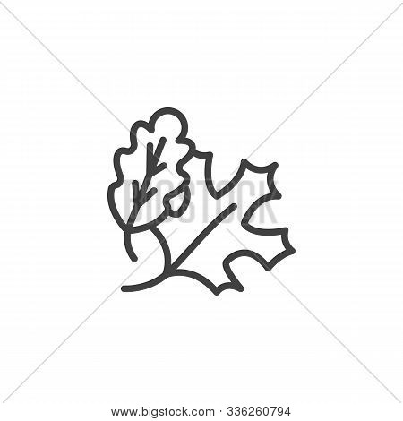 Maple Oak Leaves Line Vector Photo Free Trial Bigstock
