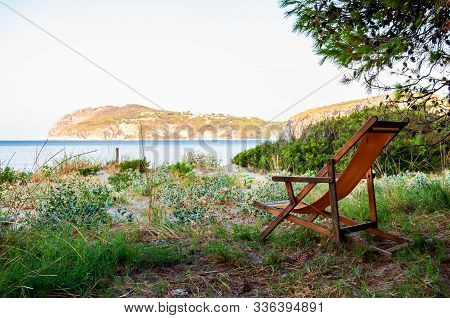 Wooden Deckchair With Yellow Fabric Back On The Grass Surrounded By Trees And Plants With Tyrrhenian