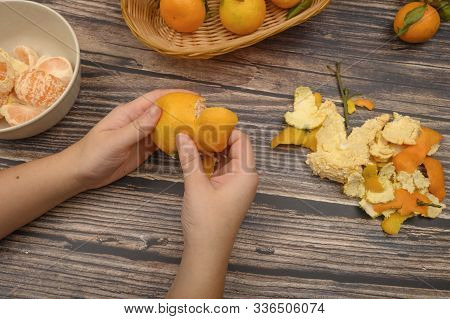 The Girls Hands Are Cleaning Tangerine, Tangerines On A Twig With Green Leaves, Peeled Tangerines In