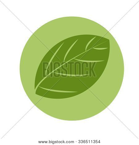 Eco Logo Isolated On White Background. Bio Emblem Organic Leaf Circle. Vegan Food Logo In Green Circ