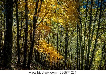 Trekking From Pontito To Penna Di Lucchio, Lucca - Tuscany