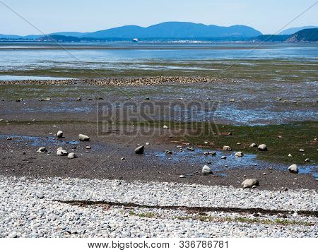 Low Tide Coastal Scenery At Bay View State Park, Wa, Usa, With Views Across Padilla Bay To San Huan 