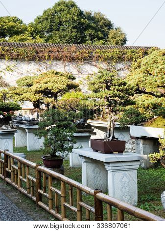 Suzhou, China - October 30, 2017: Bonsai Installation At Lingering Garden, One Of The Most Famous Cl