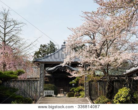 Tokushima, Japan - April 2, 2018: Springtime At Jizoji, Temple Number 5 On Shikoku Pilgrimage