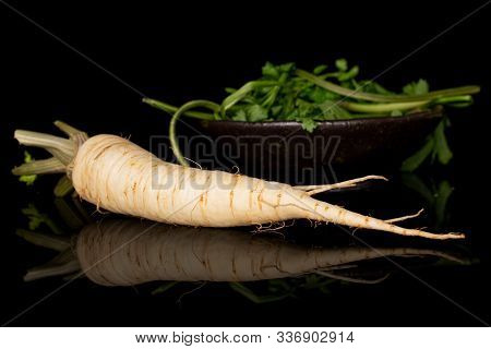 One Whole Hamburg White Parsley Root In Glazed Bowl Isolated On Black Glass