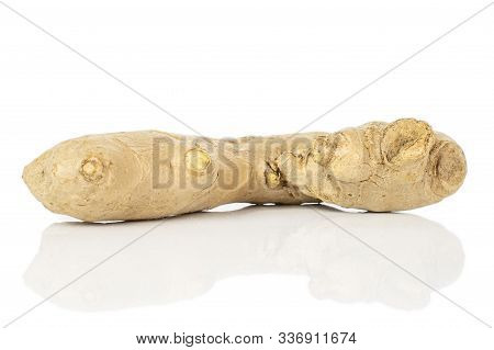 One Whole Fresh Brown Ginger Isolated On White Background