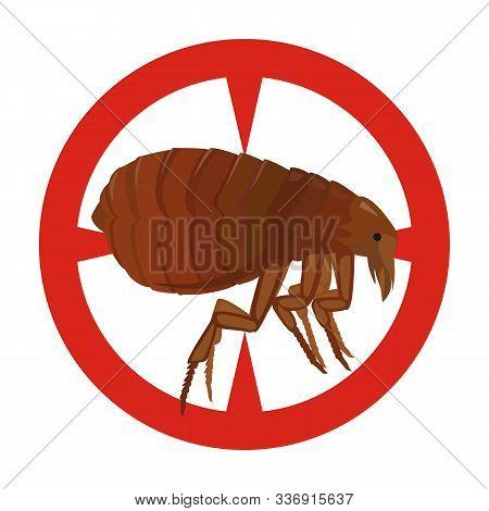 Flea Vector Icon.cartoon Vector Icon Isolated On White Background Flea.