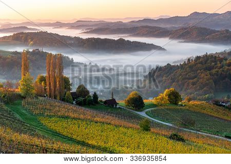 Beautiful Warm Light, Bathing Hills And Vineyards In Austria, Fall 2019.