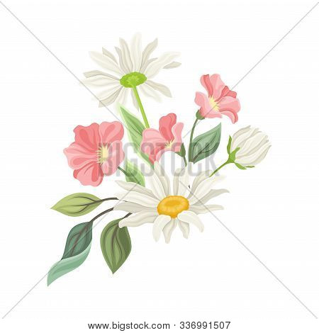 Daisy Flowers Vector Composition. Field Chamomile Blossom Concept