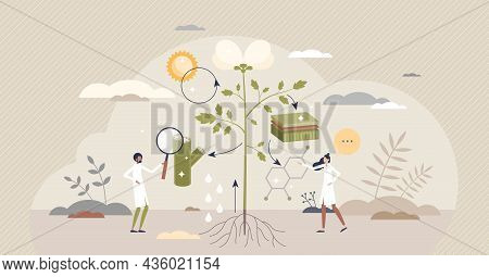 Plant Physiology Research Or Cellular Biology Examination Tiny Person Concept. Nature Process Educat
