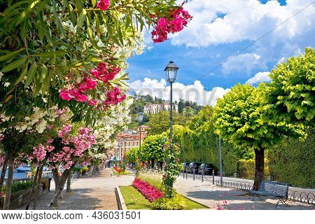 Lungolago Europa Famous Flower Lakefront Walkway In Belaggio, Town On Como Lake, Lombardy Region Of 