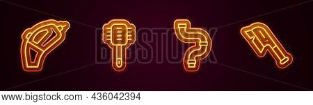 Set Line Portable Vacuum Cleaner, Toilet Brush, Industry Metallic Pipe And Brush For Cleaning. Glowi