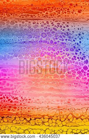 Colorful Abstract Acrylic Painting In Red, Yellow And Purple. Free Flowing Cells. Pouring.