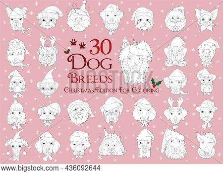 Set Of 30 Dog Breeds For Coloring With Christmas And Winter Themes