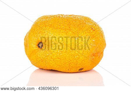 One Whole Shrunken Tangerine Isolated On White Background
