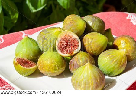 New Harvest Of Fresh Ripe Sweet Fig Fruits