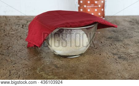 Sourdough, Opara, Yeast Dough Fits In A Glass Bowl Covered With A Red Linen Napkin. The Process Of M