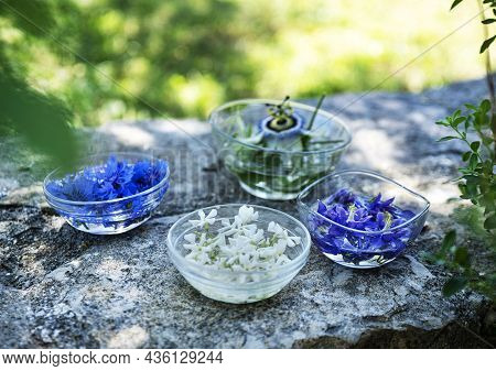 Petals Of Flowers In Water For Plant Tincture