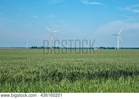 Flevo Polder, The Netherlands, June 28, 2021, Typical Dutch Landscape With Grain Field, Farmland, Fa