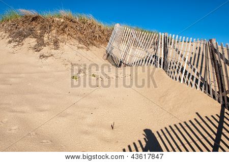 Sand dunes at Cape Cod