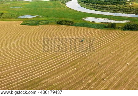 Aerial View Tractor Collects Dry Grass In Straw Bales In Wheat Field. Special Agricultural Equipment