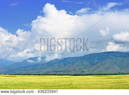 White Fluffy Clouds Over Green Mountains And A Ripe Rural Field. Siberia, Russia