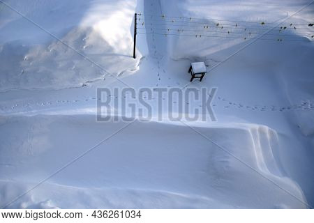 Top View Of The Vegetable Garden In Winter. Cat Footprints In The Snow.