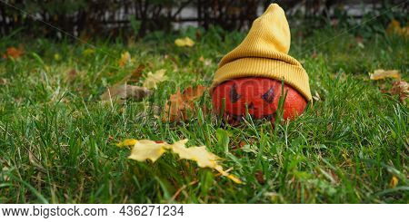 Pumpkin Jack O Lenten In A Yellow Hat On A Lawn Among Yellow Maple Leaves. Waiting For Halloween